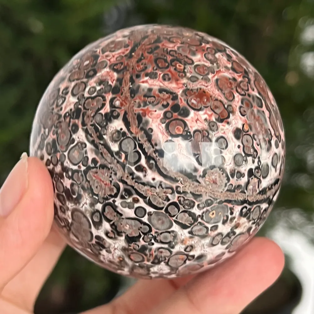 Sphere Jasp Snake Skin w Australii Model 4