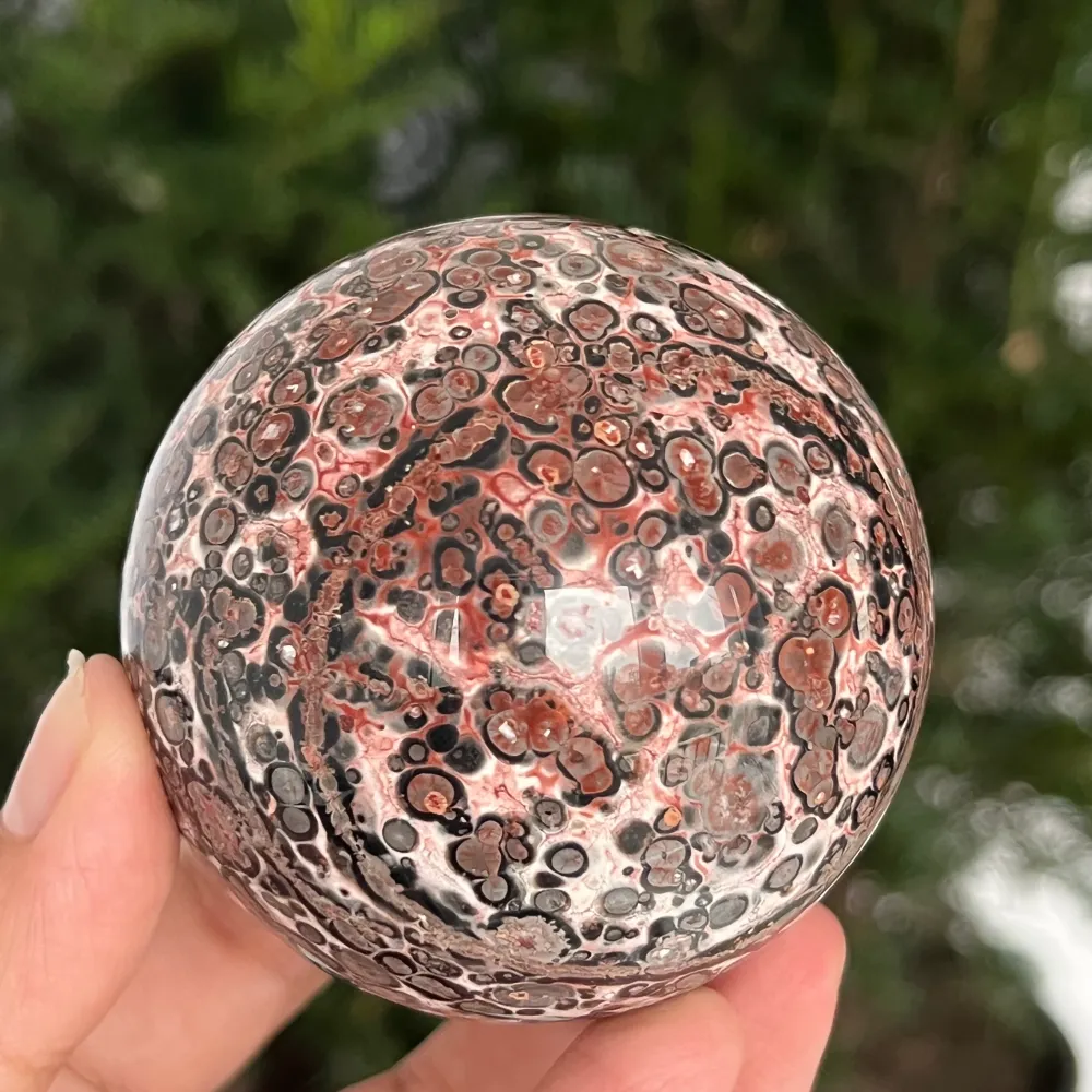 Sphere Jasp Snake Skin w Australii Model 4
