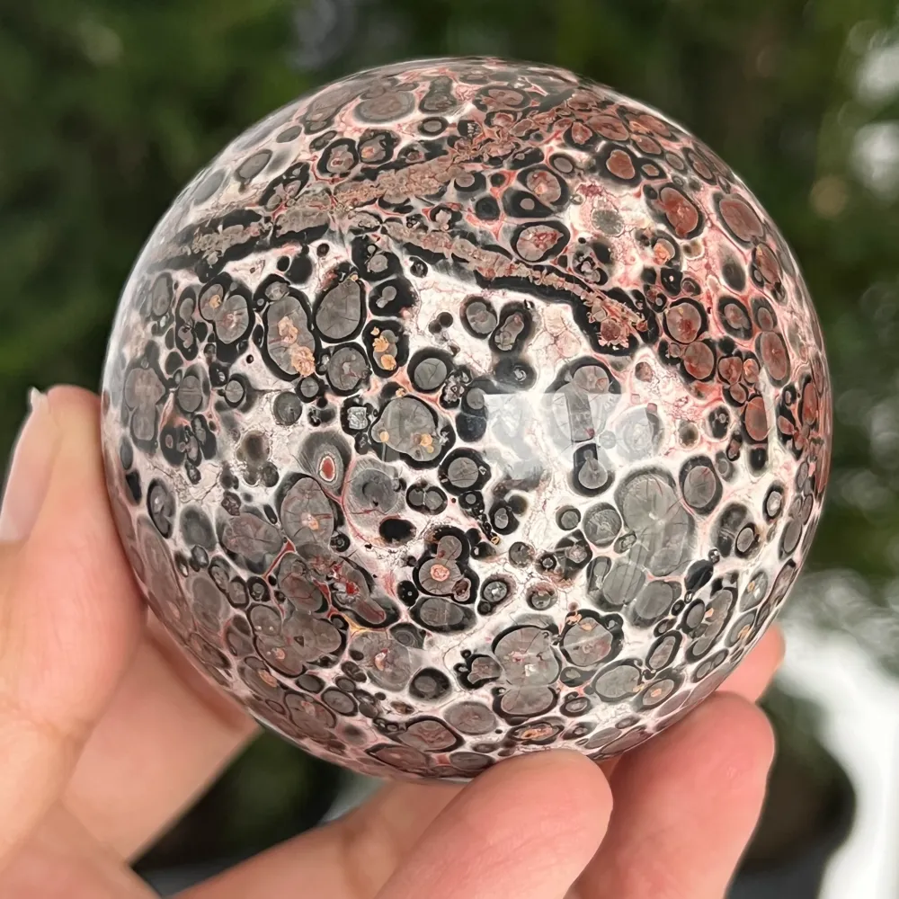 Sphere Jasp Snake Skin w Australii Model 4