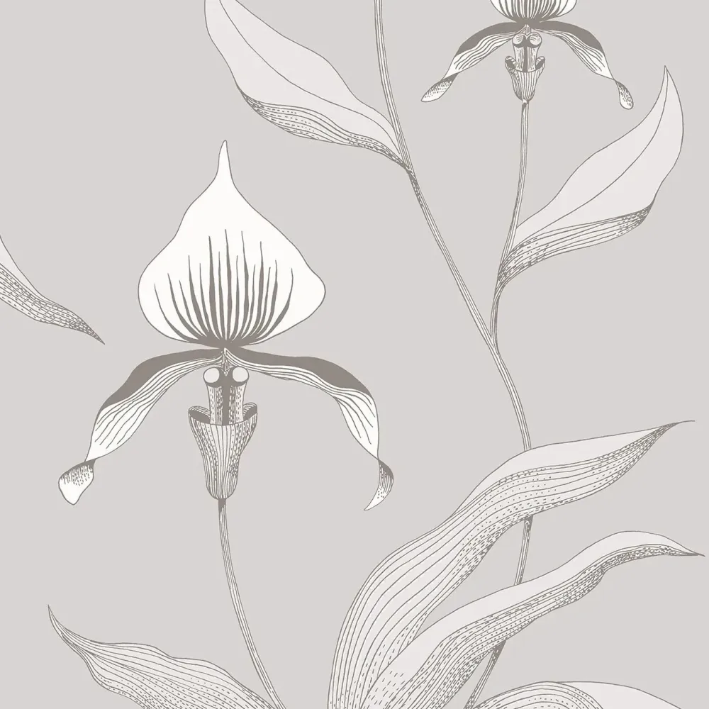 Tapeta z motywem roślinnym kwiatów orchidei CONTEMPORARY COLLECTION - ORCHID biały z szarym