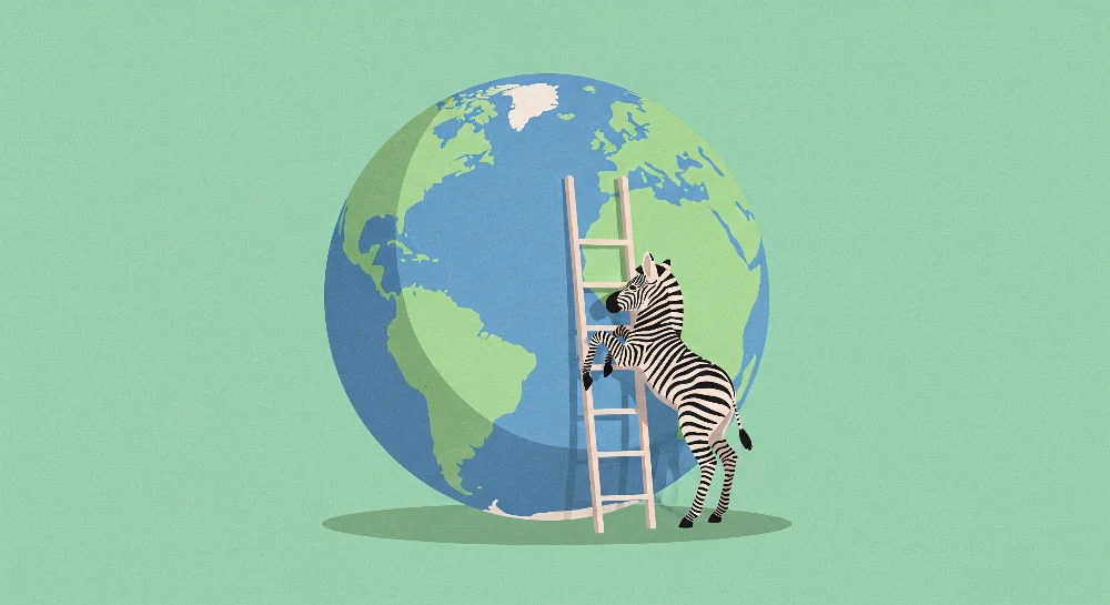 Tapety dla dzieci | Ciekawy zebra i kolorowa kula ziemska