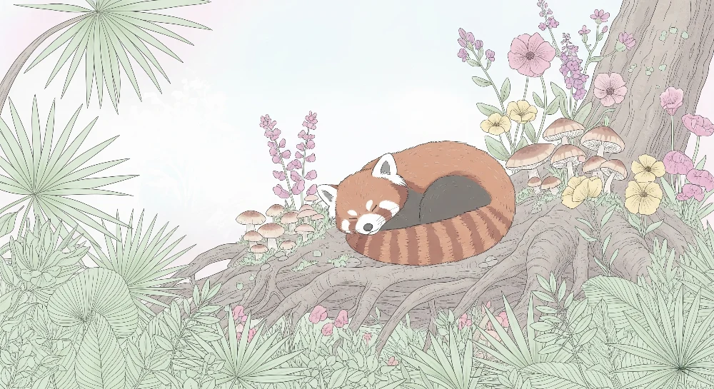 Tapety dla dzieci | Śpiący czerwony panda w naturze