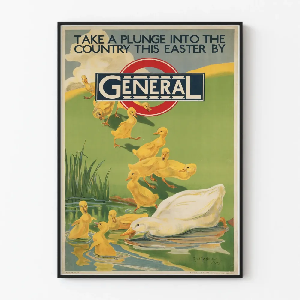 Vintage plakat z kaczkami nurkującymi na wsi – dekoracja ścienna w stylu vintage