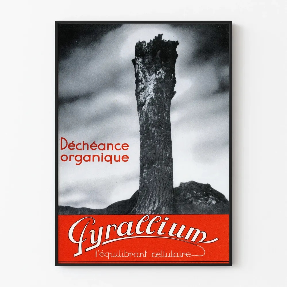 Vintage plakat Pyrallium - Organiczne upadanie do dekoracji ściennych