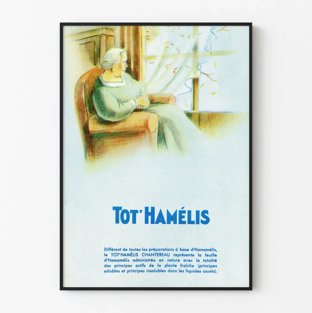 Vintage plakat reklamowy Tot'Hamélis do dekoracji ścian