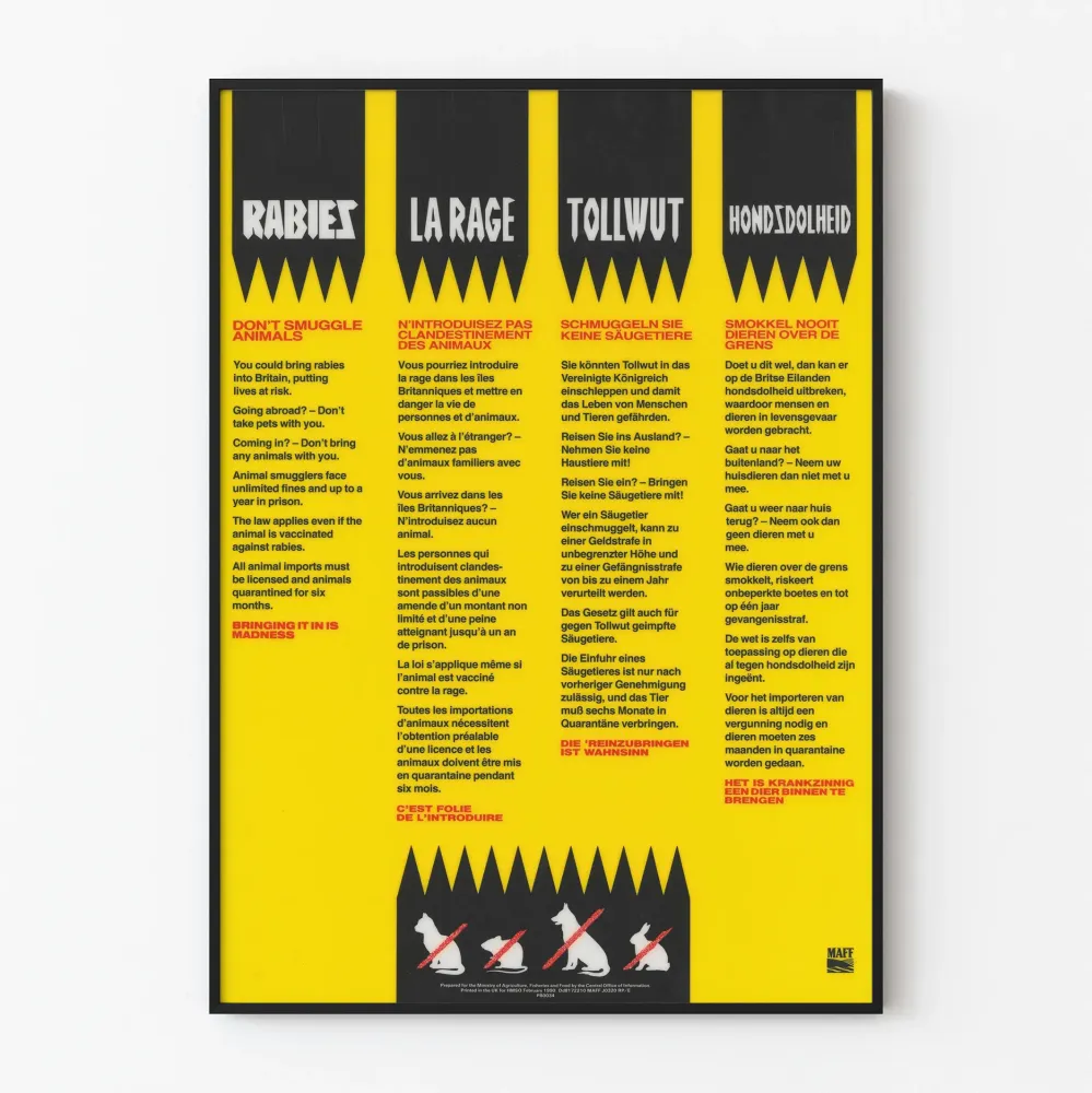 Wielojęzyczny plakat edukacyjny przeciwko przemytowi zwierząt w celu zapobiegania wściekliźnie