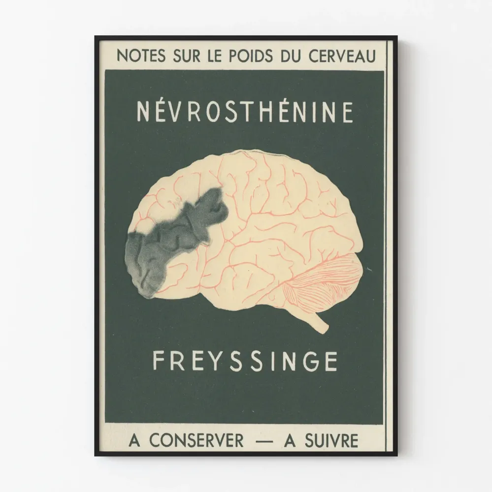 Wintage plakat naukowy o nerwosystemie mózgowym