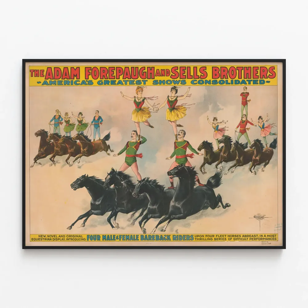 Wintage plakat przedstawiający pokaz jeździecki Adam Forepaugh i Sells Brothers