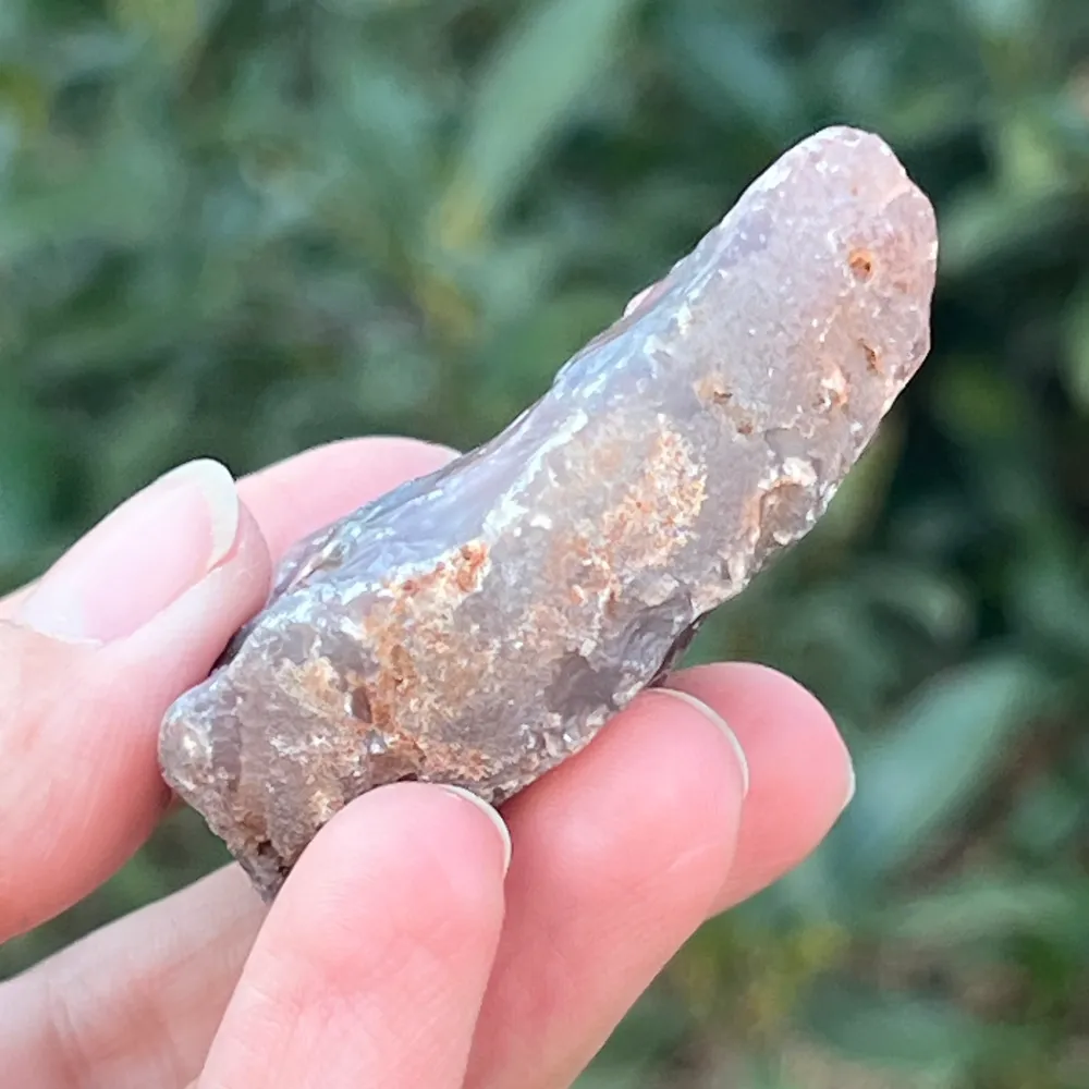 Węzeł nośników Model brutto 2