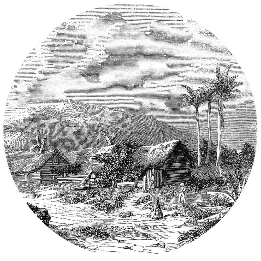 WallArt Okrągł fototapeta Landscape Guadeloupe, 190 cm